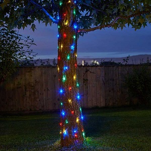 100 Multi Coloured Firefly String Lights | Smart Garden