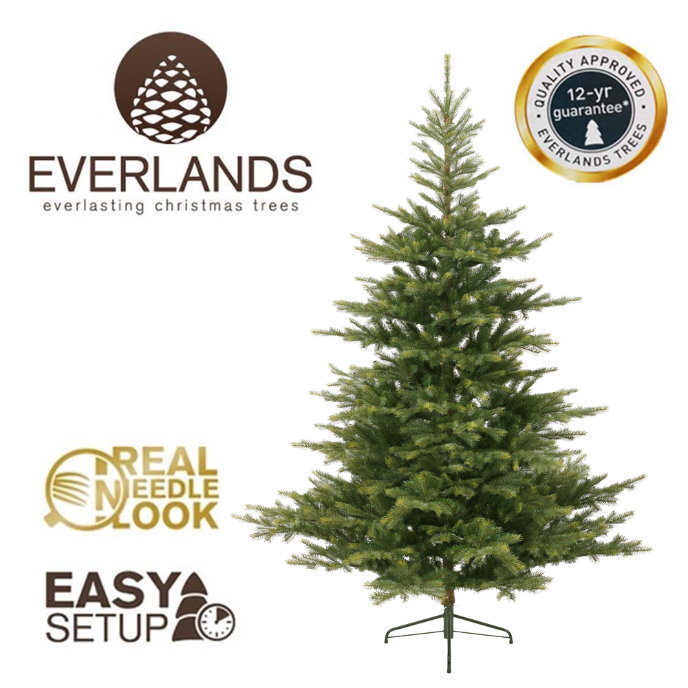 6FT Grandis Fir Kaemingk Everlands Christmas Tree | AT29