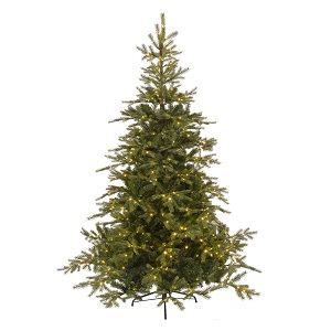 7FT Grandis Fir Pre-lit Kaemingk Everlands Christmas Tree | AT30