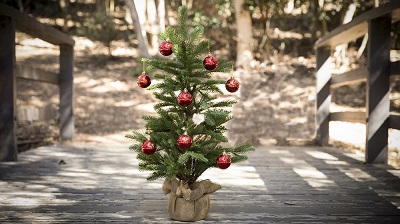 Mini & LED Christmas Trees